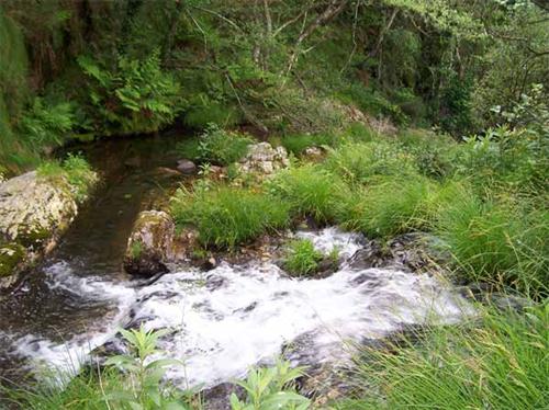Cascadas de Penadecabras