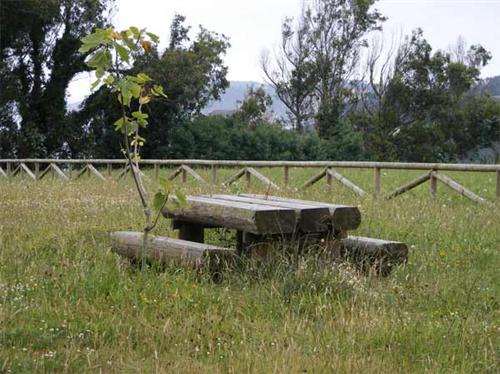 Área Recreativa de Cambaredo